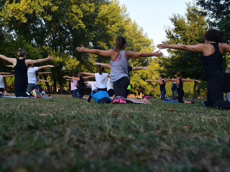 Yoga Course